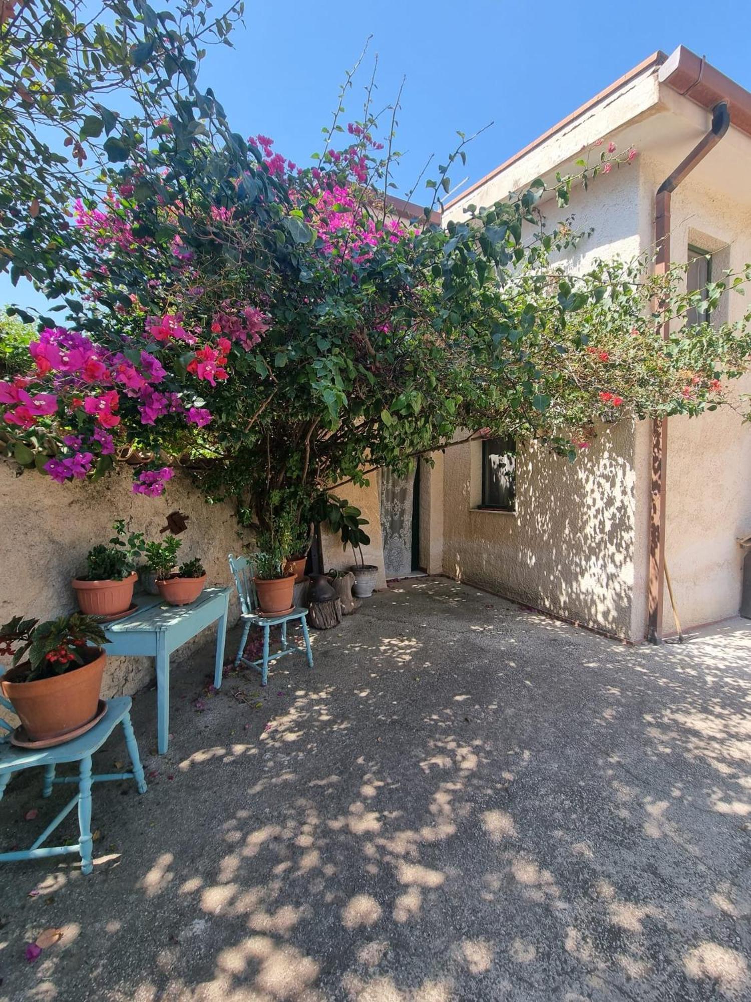 La Bouganville San Cataldo  Dış mekan fotoğraf